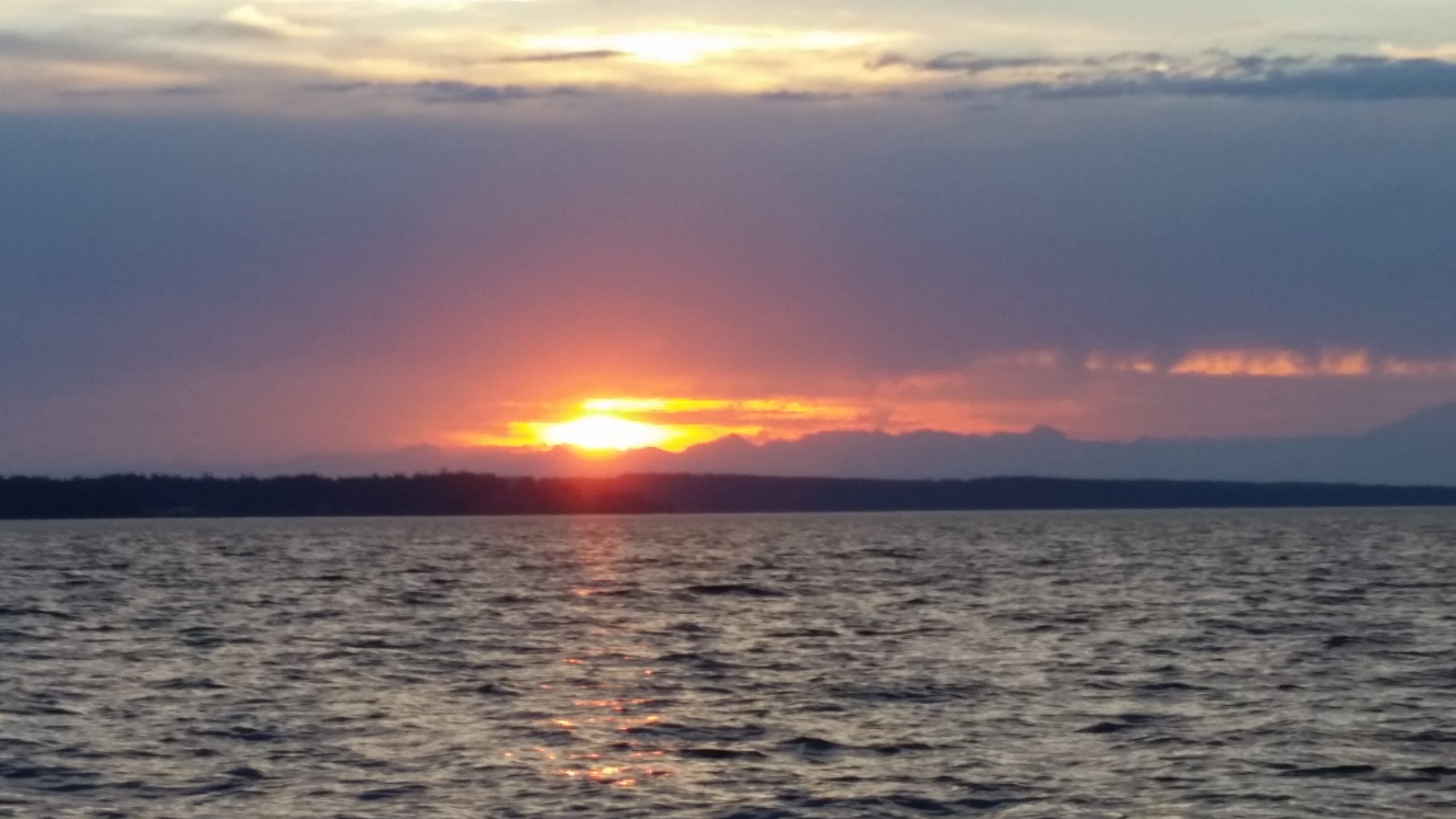 Nisqually Reach Nature Center